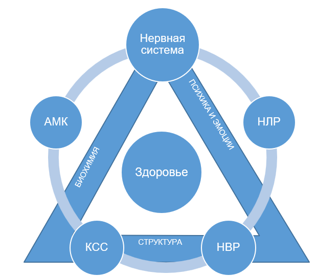 Страх - боль - мышца - позитура