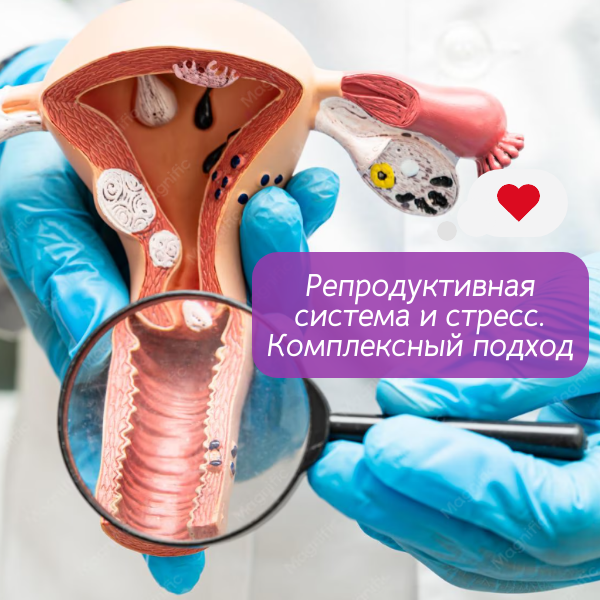 Репродуктивная система и стресс.